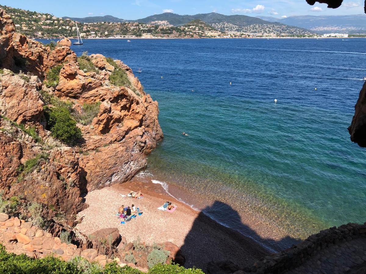 Charmant Studio Proche Palais Des Festivals - Marche Forville Cannes Ngoại thất bức ảnh